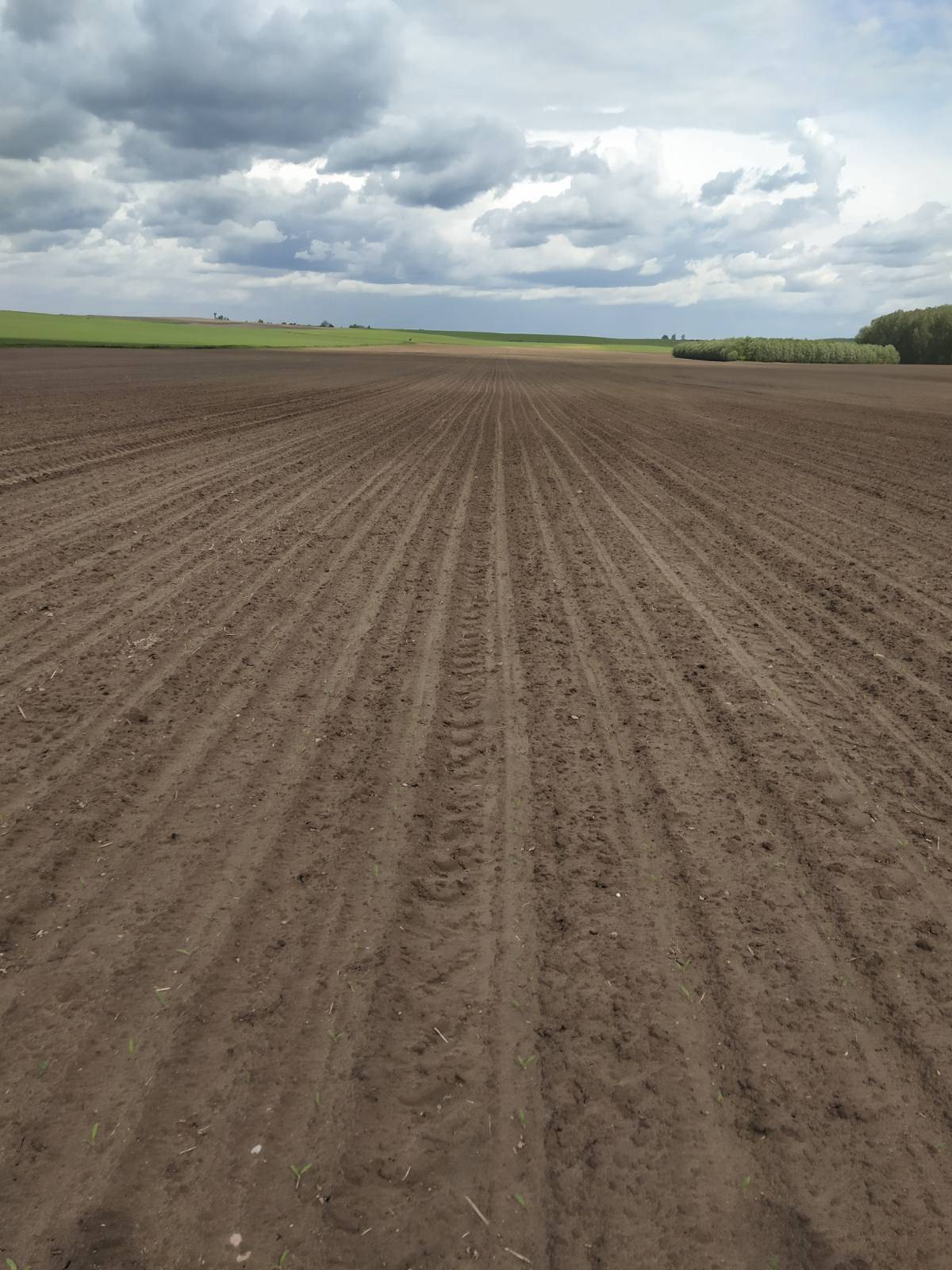 IMG-1ebd0ae22814d8a3787d51667d17bfb3-V